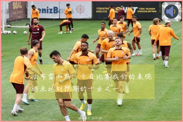 法布雷加斯：今日比赛我们的表现远未达到预期的十分之一