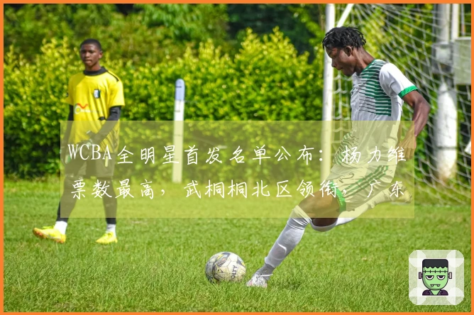 WCBA全明星首发名单公布：杨力维票数最高，武桐桐北区领衔，广东四将入选