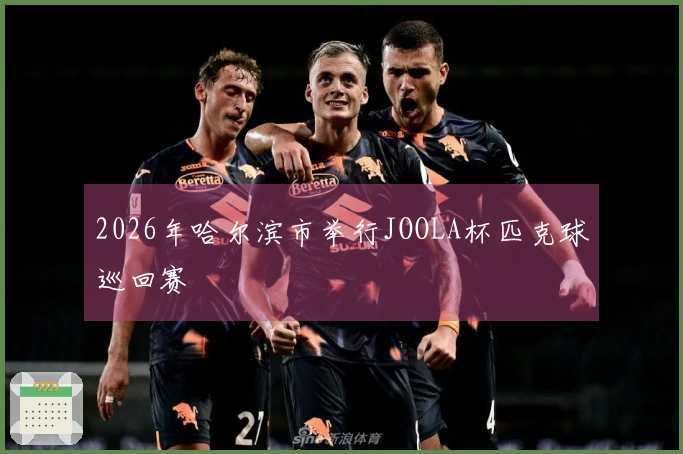 2026年哈尔滨市举行JOOLA杯匹克球巡回赛