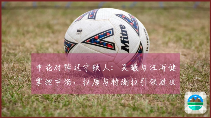 申花对阵辽宁铁人：吴曦与汪海健掌控中场，拉唐与特谢拉引领进攻，盖伊发起进攻