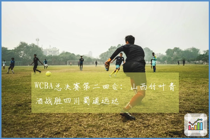 WCBA总决赛第二回合：山西竹叶青酒战胜四川蜀道远达